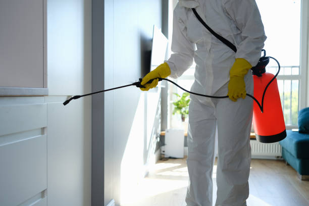 Best Certified Mold Removal  in Bay Minette, AL